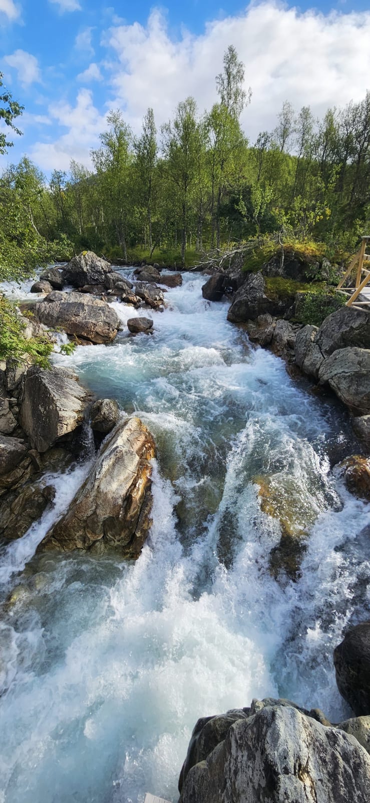 A river running between rocks and birch trees