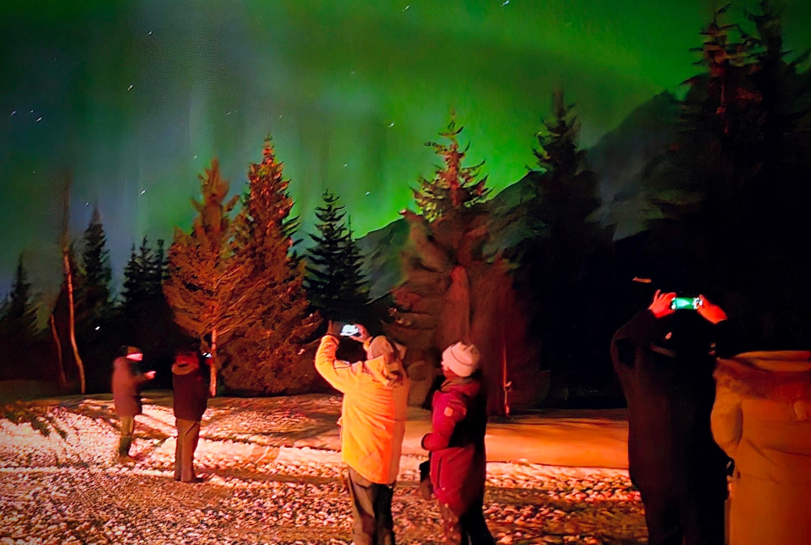 Guests photographing the Northern Lights among the trees
