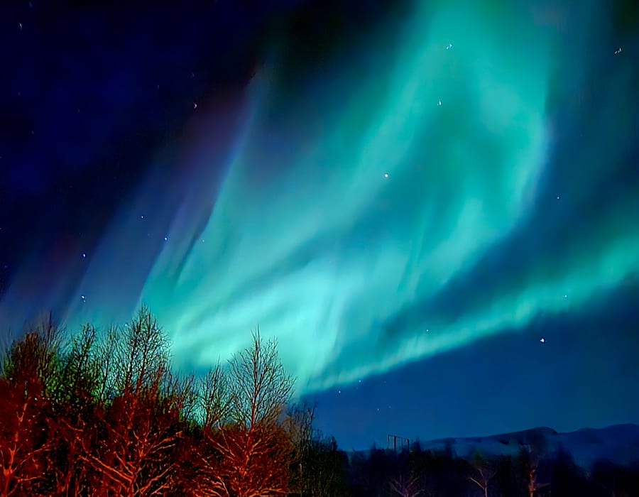 Blue and green Northern Lights above the treeline